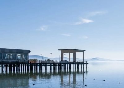 PODIS Portale disinfestazione